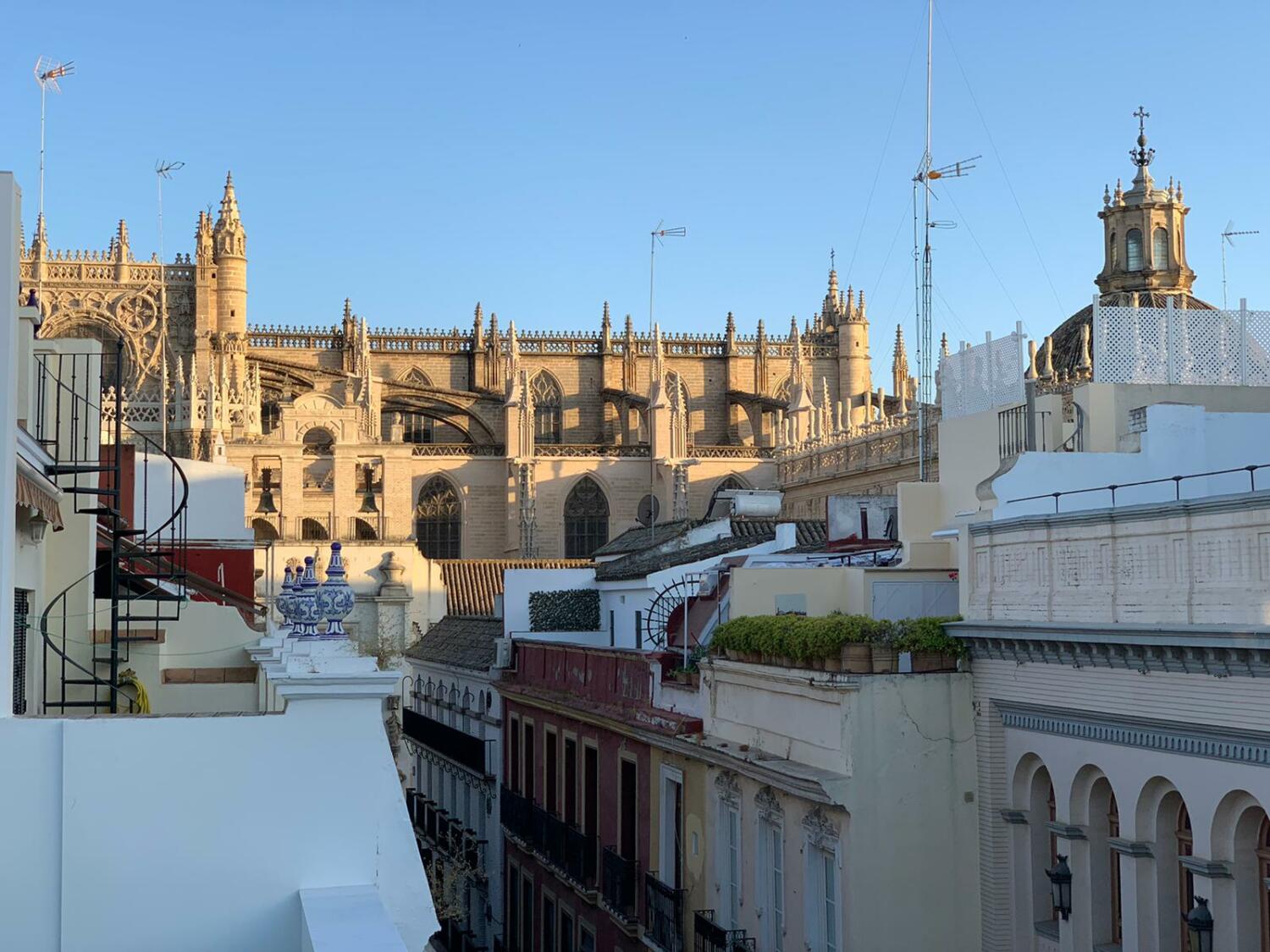 WhatsApp Image 2020-07-29 at 19.40.36 (1).jpeg