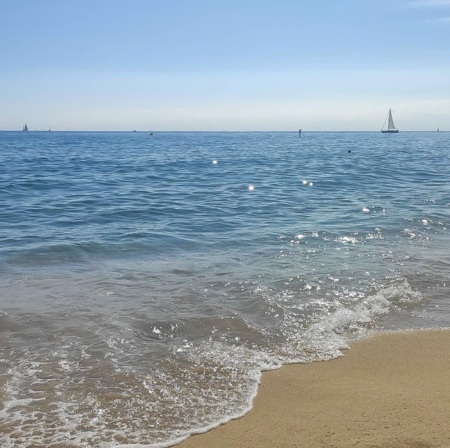 39 FOTOS EL JARDI.jpg