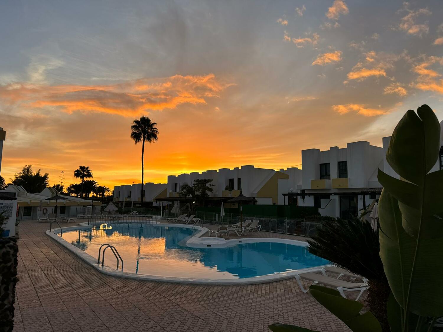 WhatsApp Image 2025-11-26 at 20.03.32.jpeg