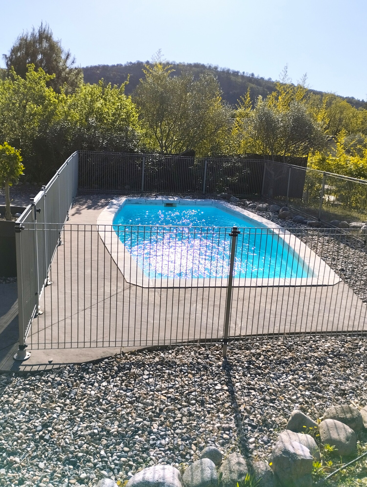 IMG_20240411_095400 C1.jpg