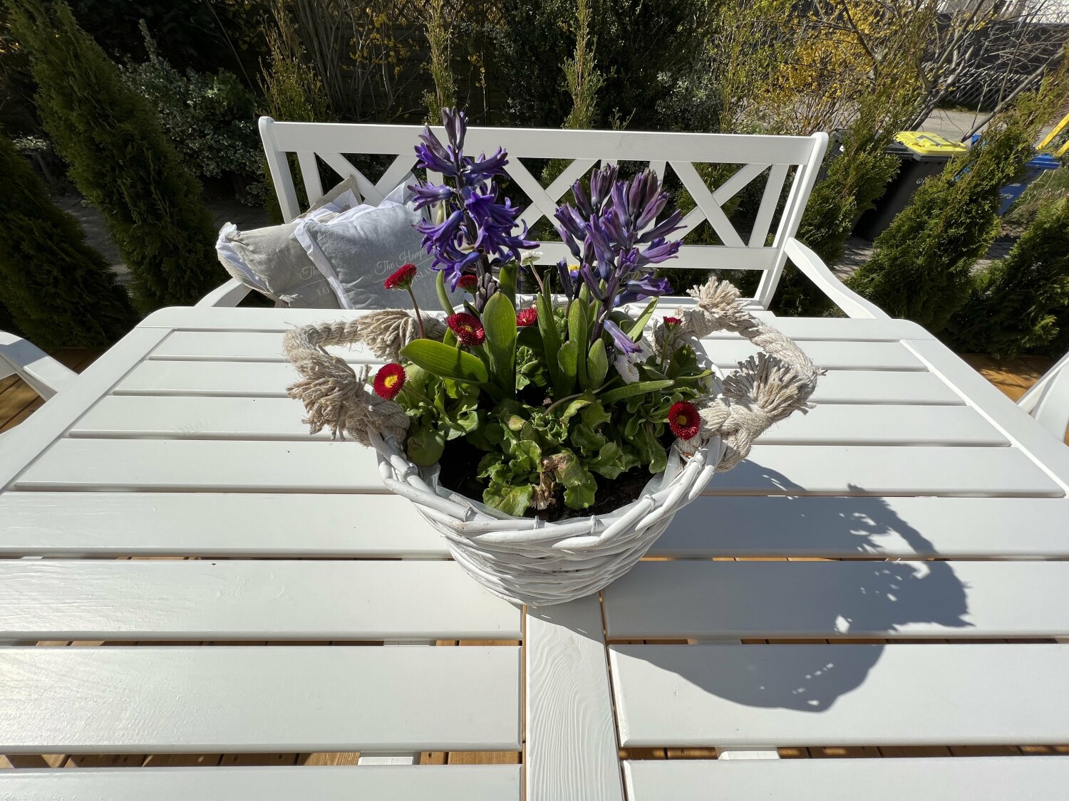 Ferienwohnung Magnolie Kühlungsborn Terrasse 4.jpg