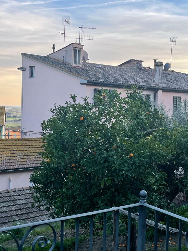 WhatsApp Image 2023-03-16 at 17.57.51 (5).jpeg