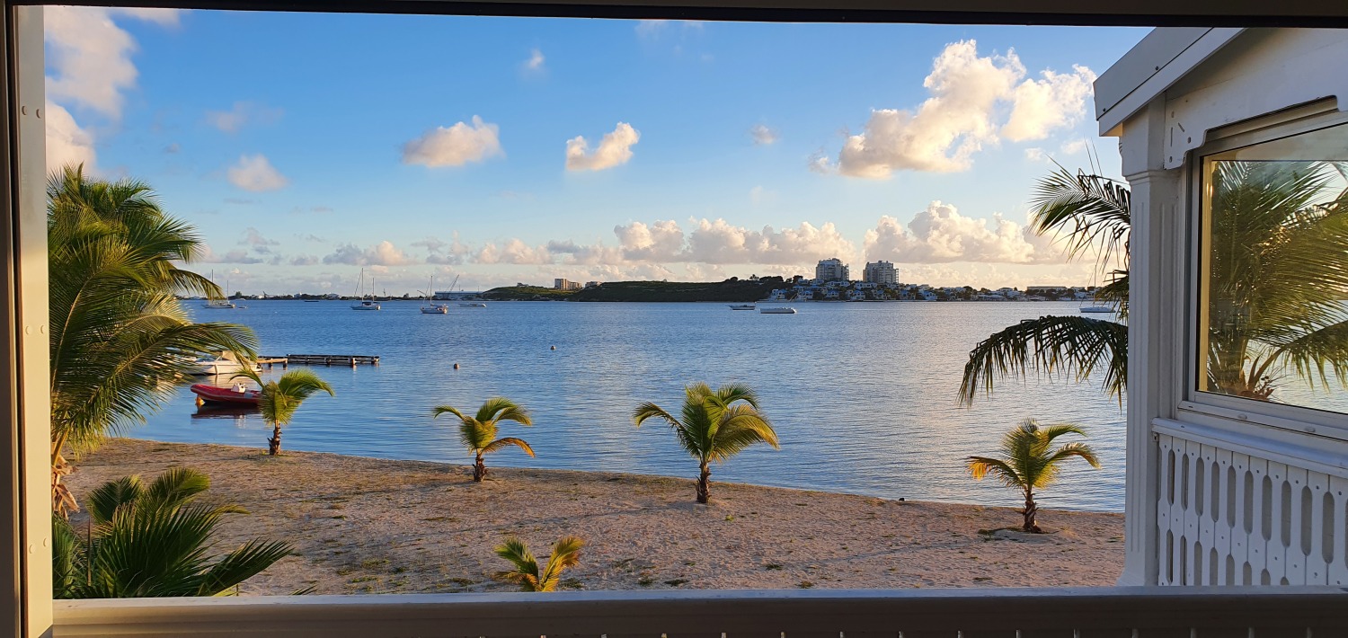 2020-12-12 17.12.14.jpg