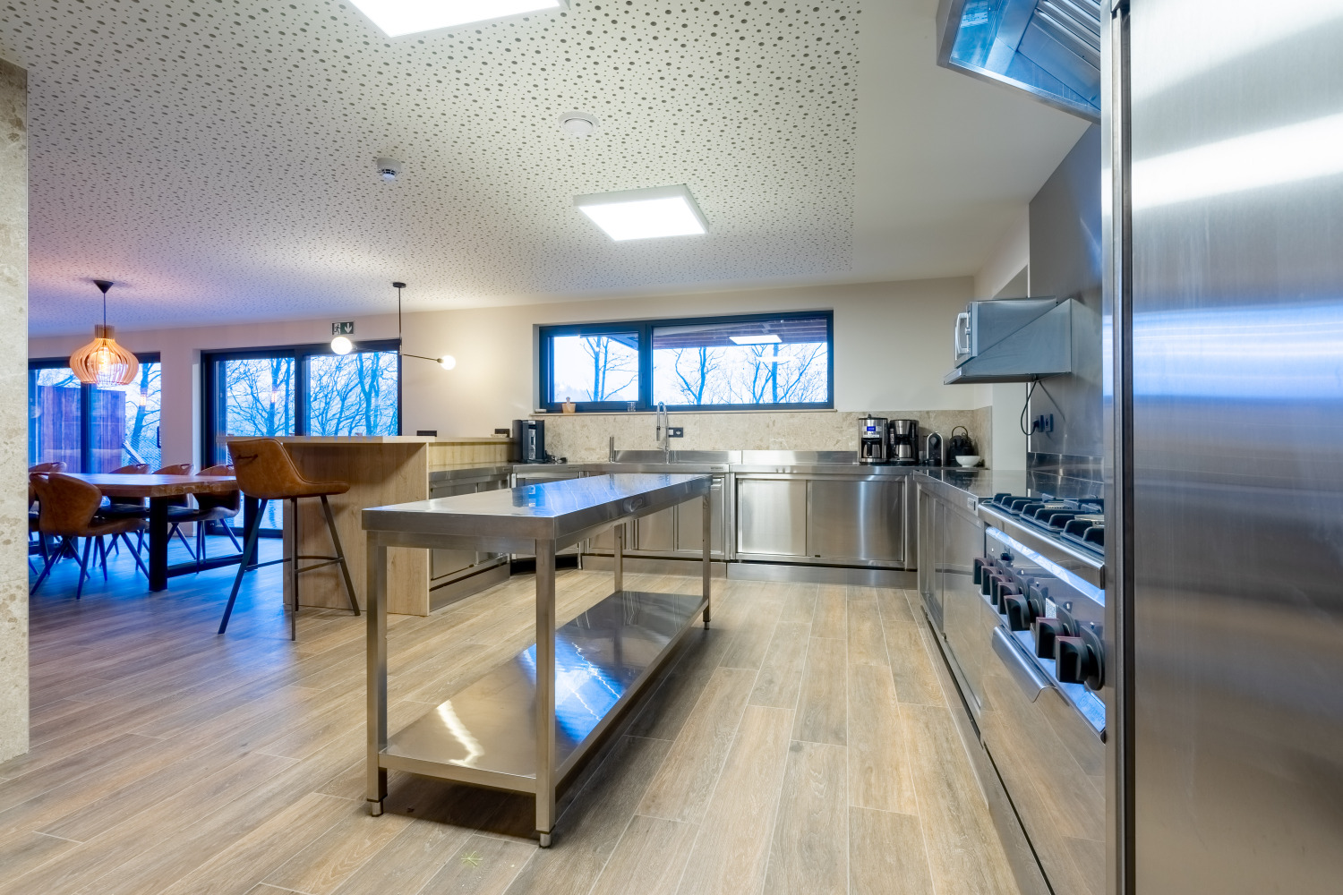 Bridge into the Nature Web--24.jpg