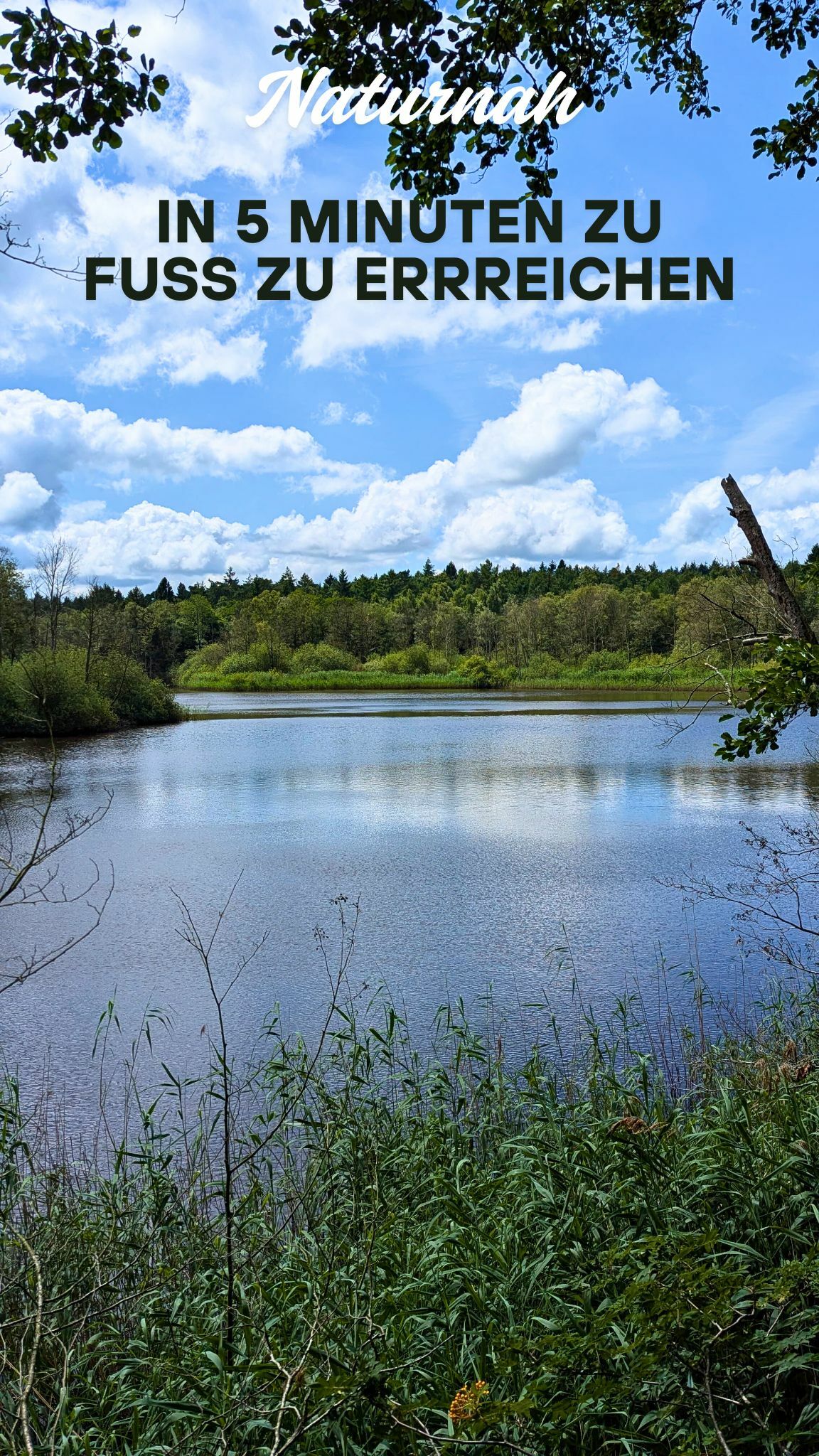 in 5 Minuten zu fuß zu errreichen.jpg