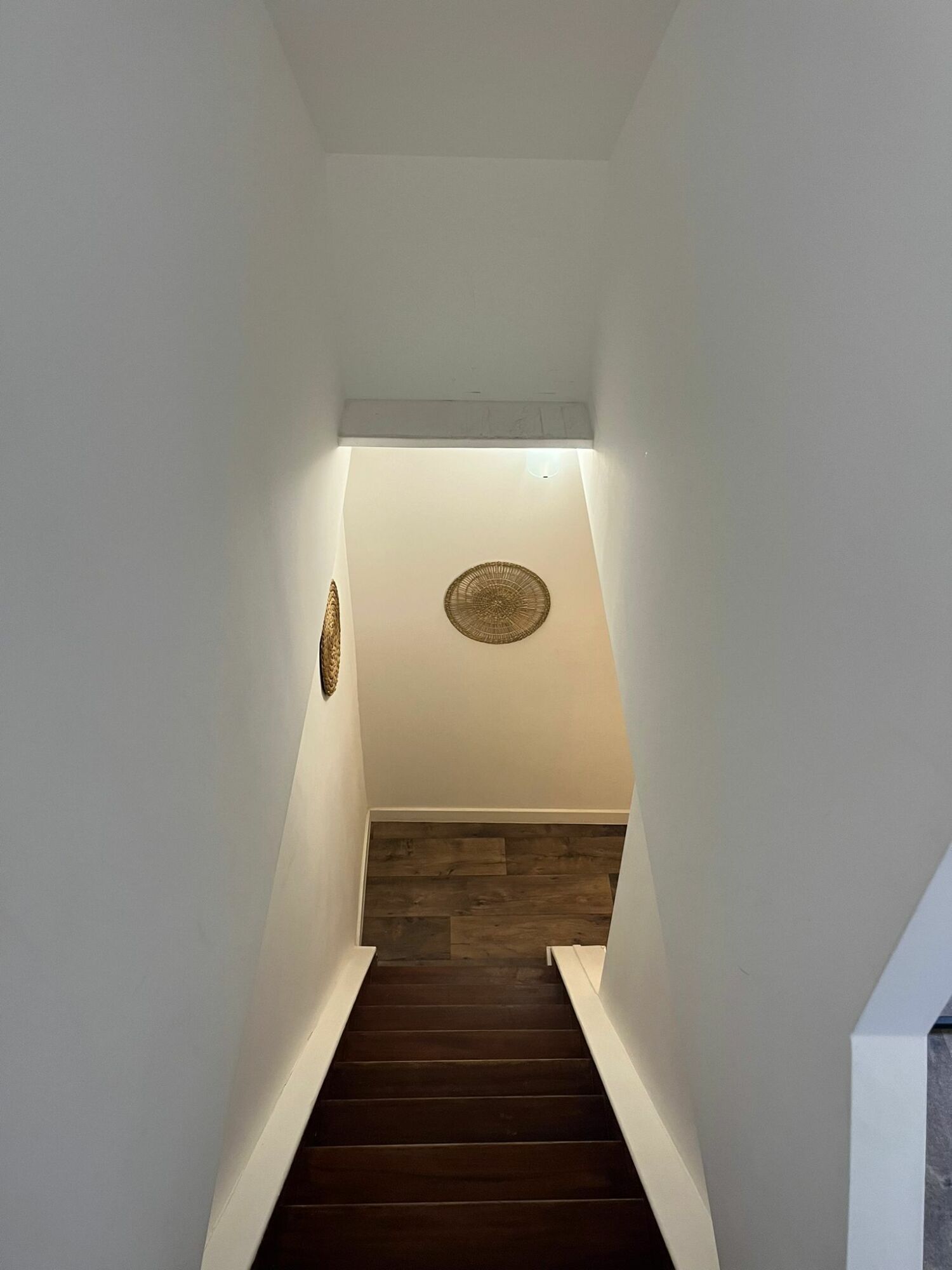 PHOTO-2024-04-05-20-46-11 2.jpg