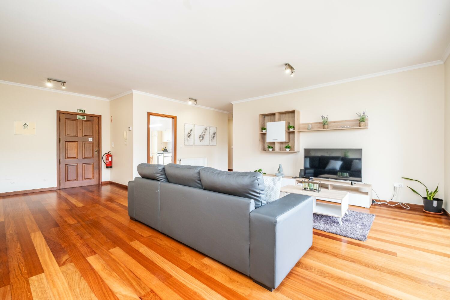 Photo-13 - Cópia.jpg