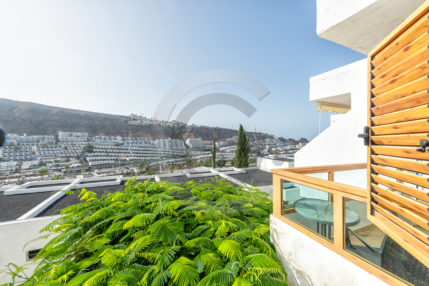 Arimar (4) copia.jpg