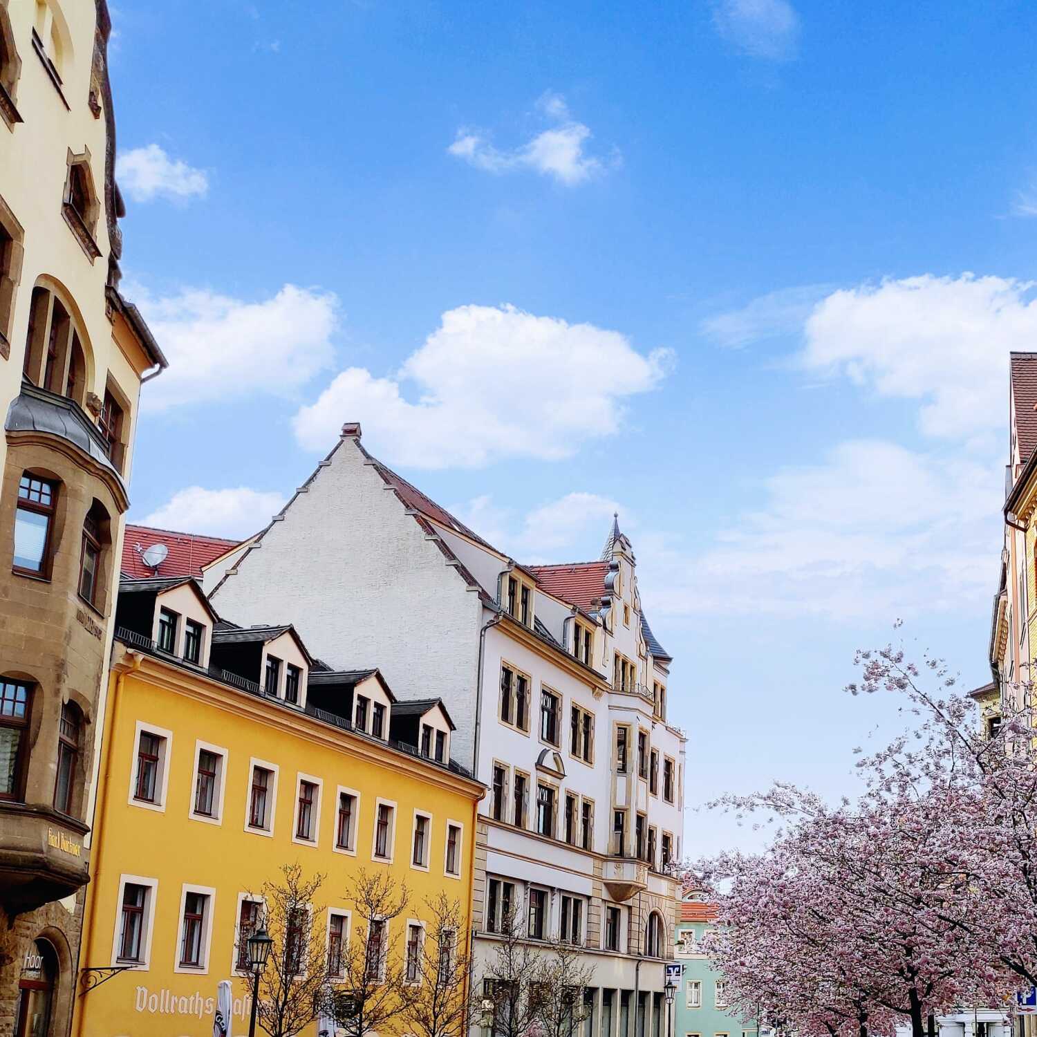 IMG_20210416_190635_845 (1).jpg