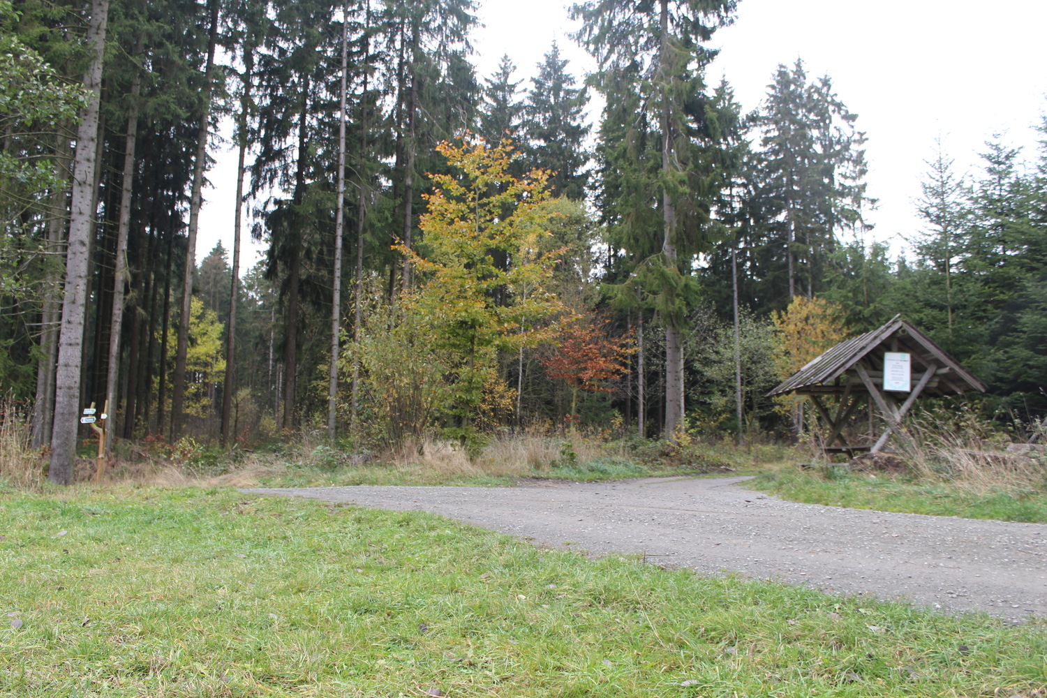 Natur Tanna (12).JPG