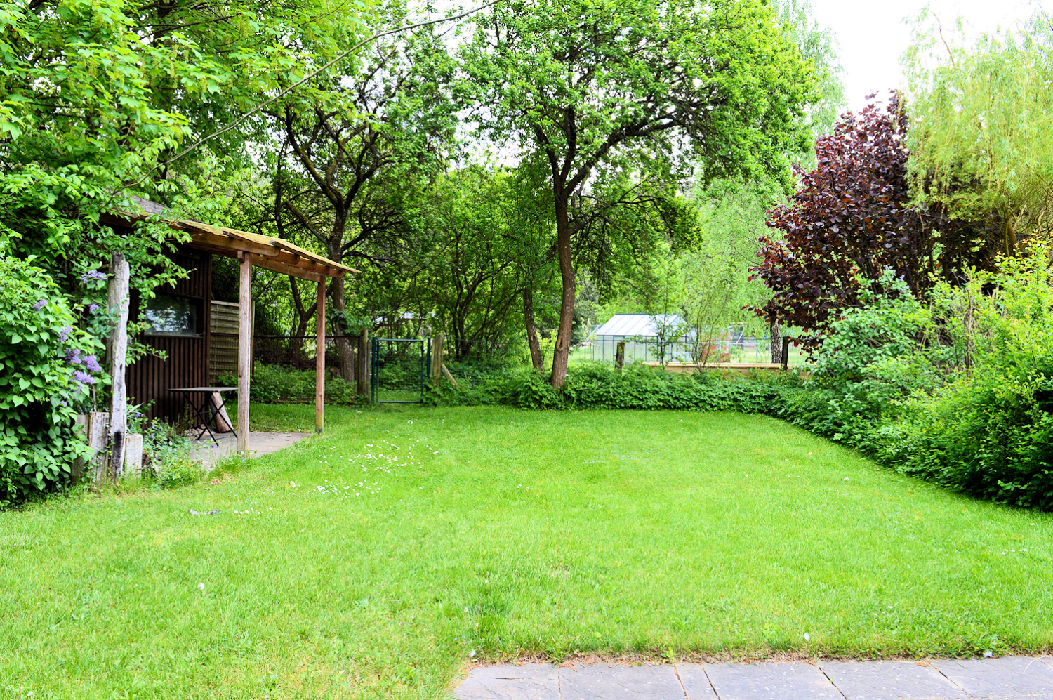 Garten-1.jpg