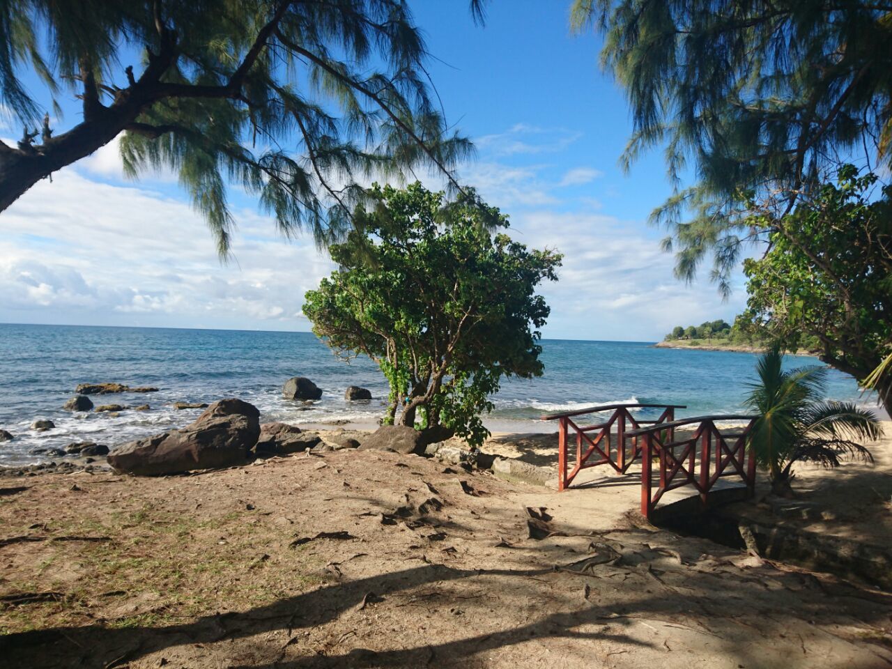 RDC Goyavier (33).jpg