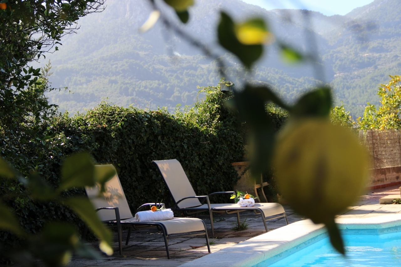 IMG_1251 (1280x853).jpg