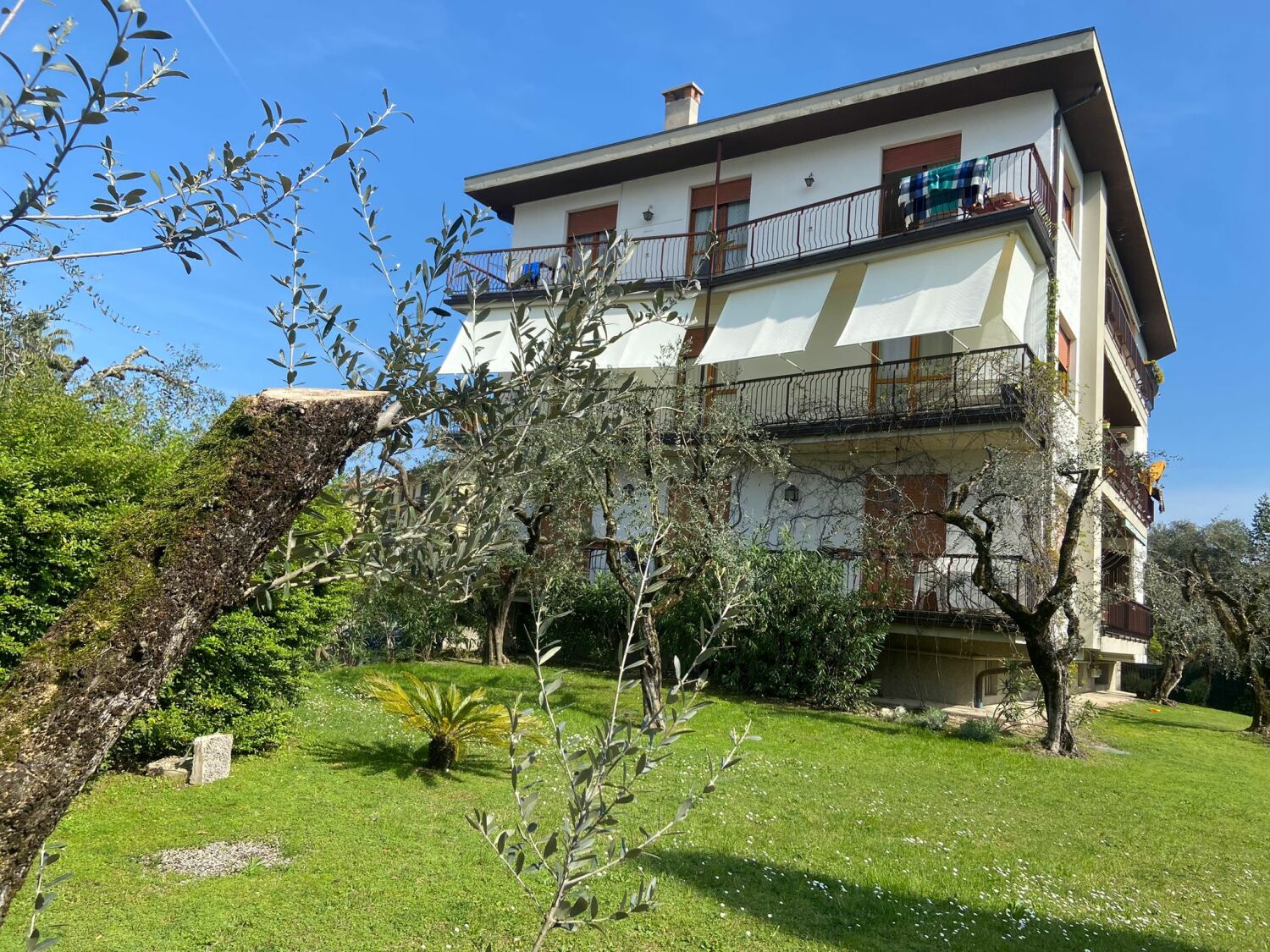 WhatsApp Image 2024-04-09 at 11.07.54.jpeg