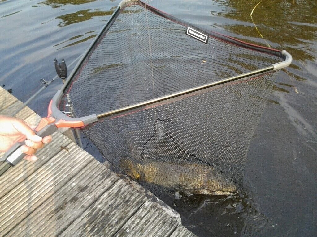 20180828_180723_resized_1 (2).jpg