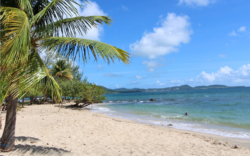 RDC Goyavier (30).jpg