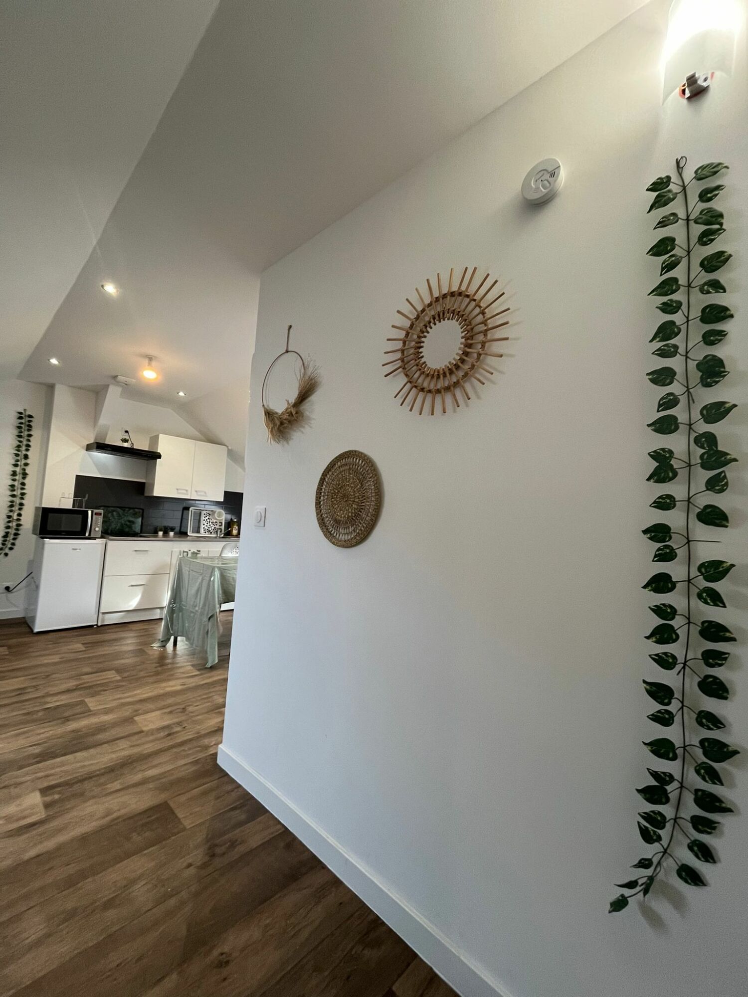 PHOTO-2024-04-05-20-46-20 2.jpg