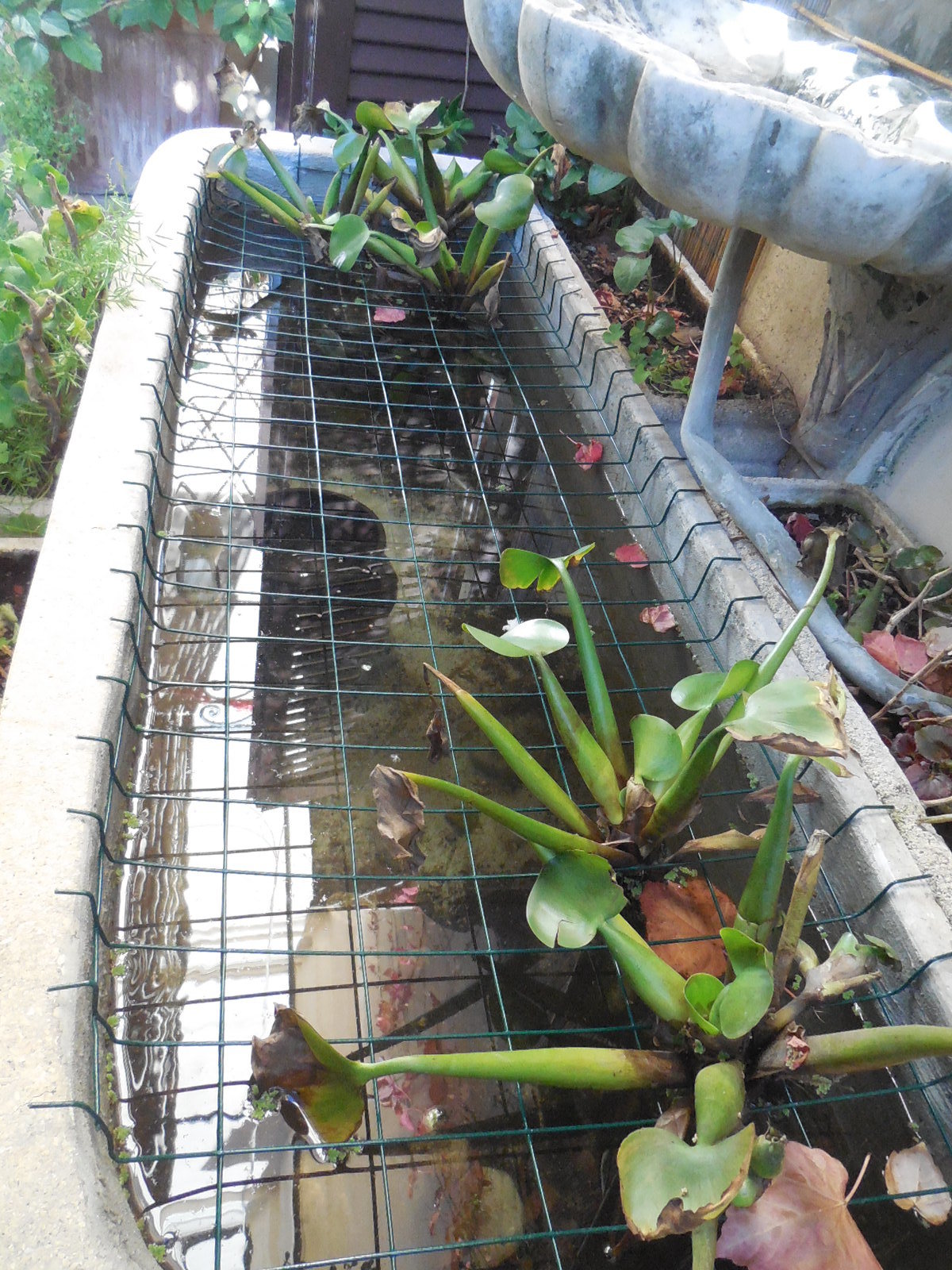 terrazzo vaschetta (2).JPG