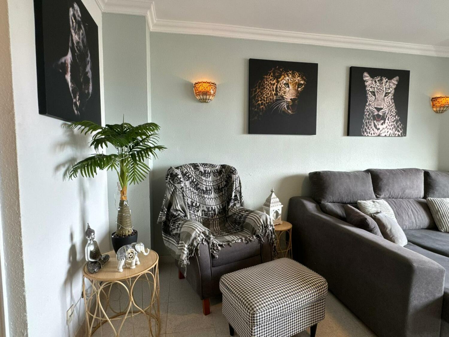 WhatsApp Image 2026-01-06 at 22.30.56.jpeg