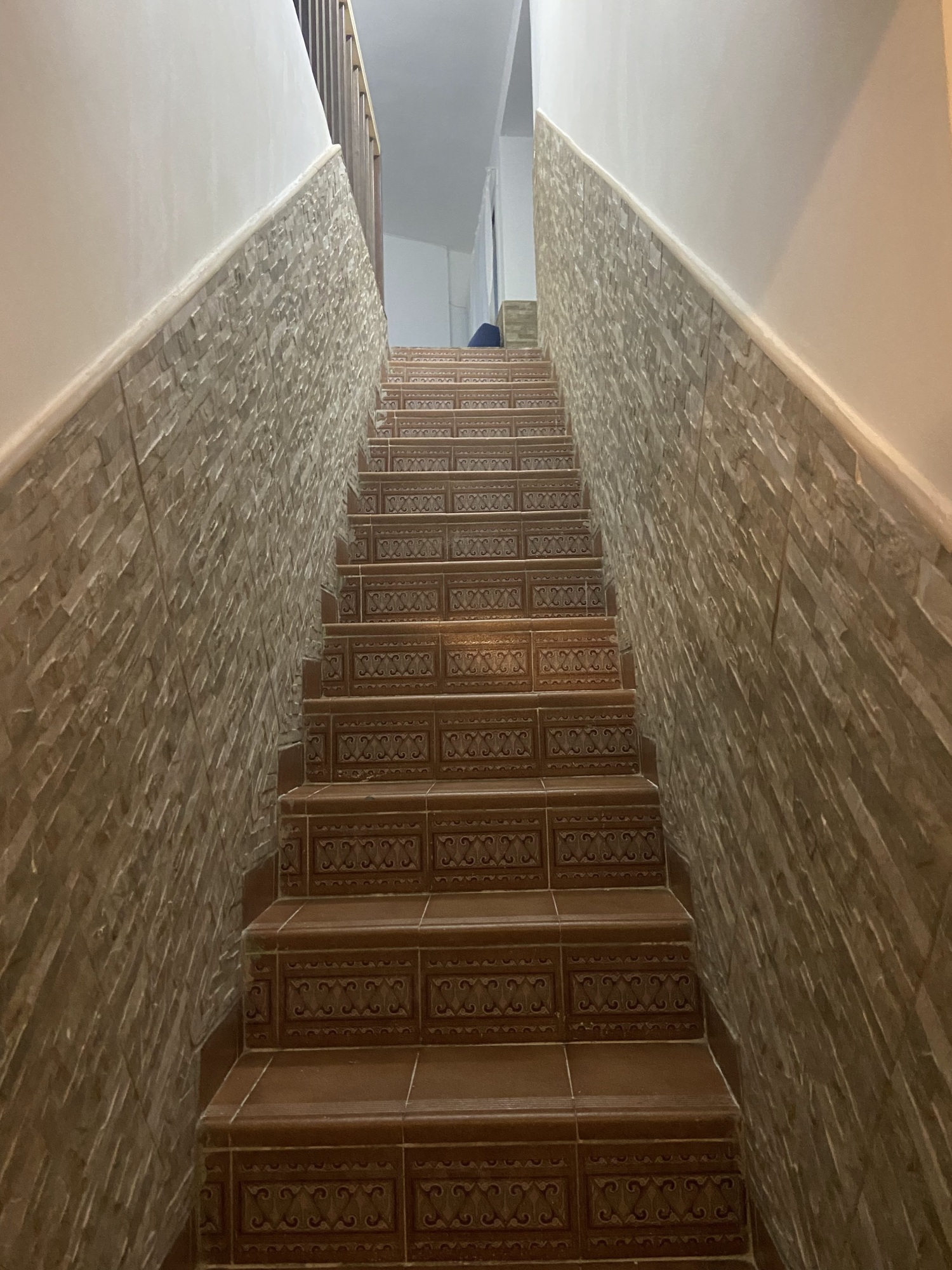 HALL Y OTROS  (2).jpg