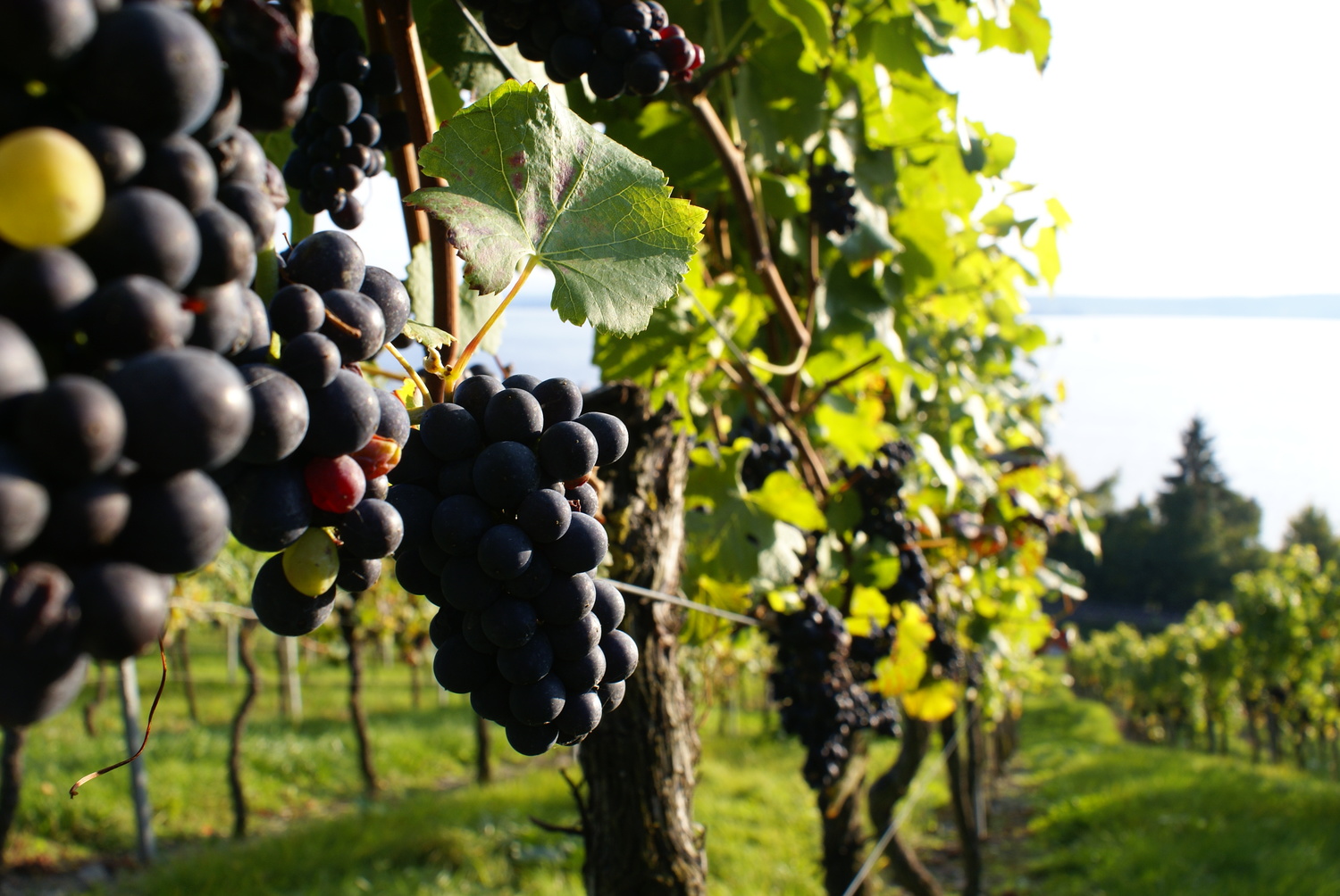 September 2007 (11) - Kopie - Kopie.JPG