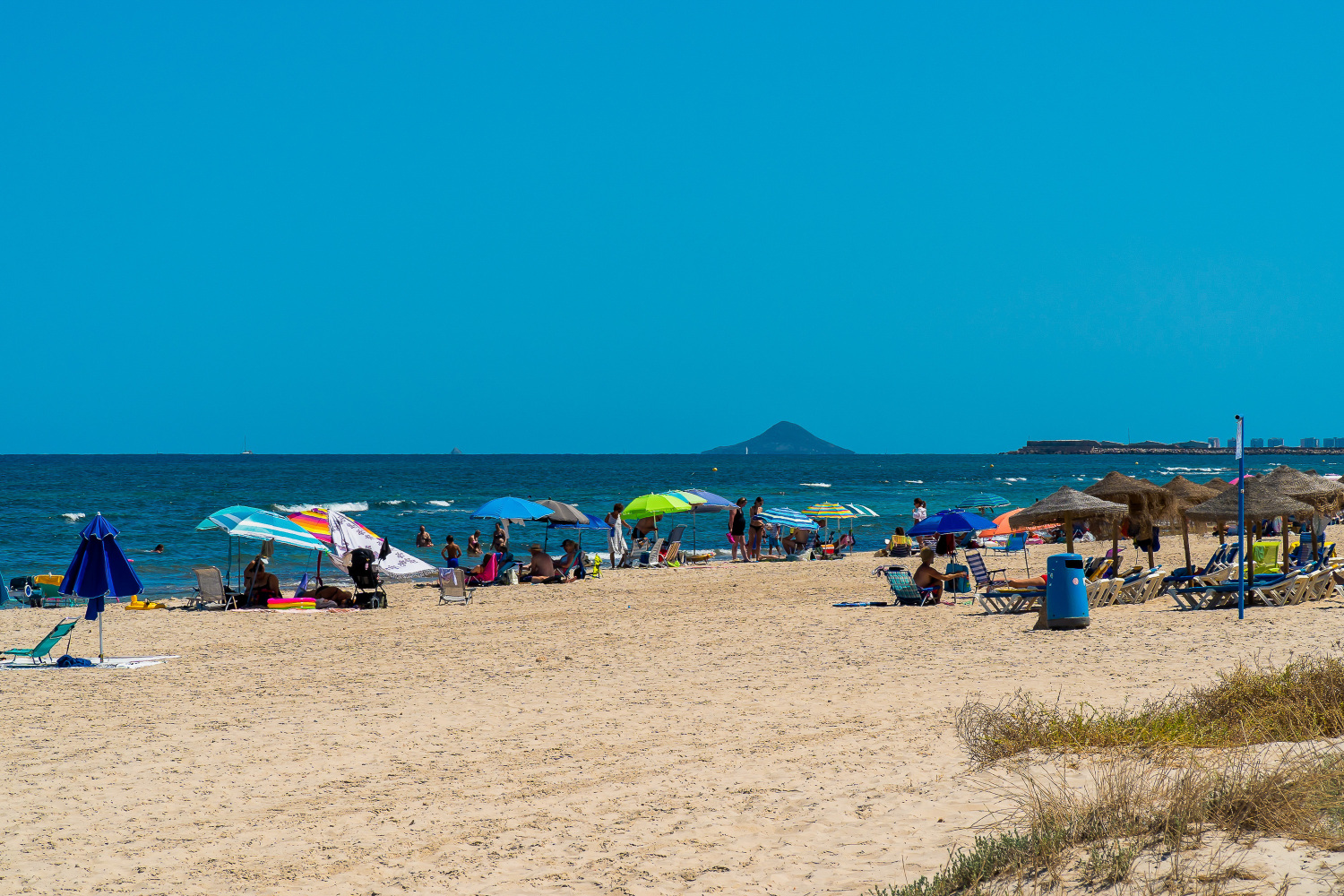 Gladiolo 52 - Pilar de Horadada (60).jpg