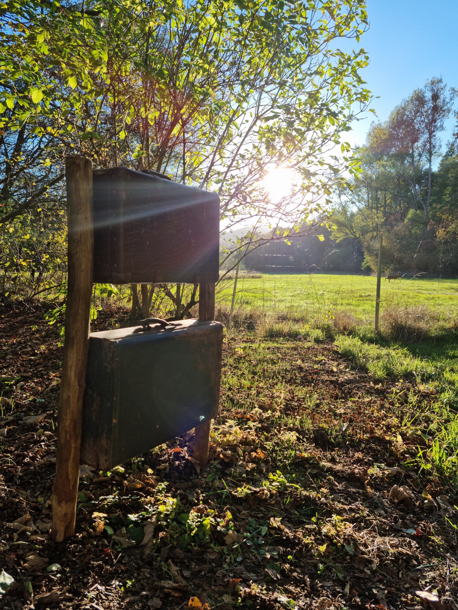 20221006_171833 - Kopie.jpg