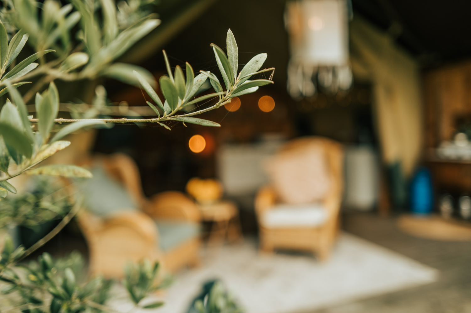 Thebrandwagon-12October 08, 2024163906.jpg