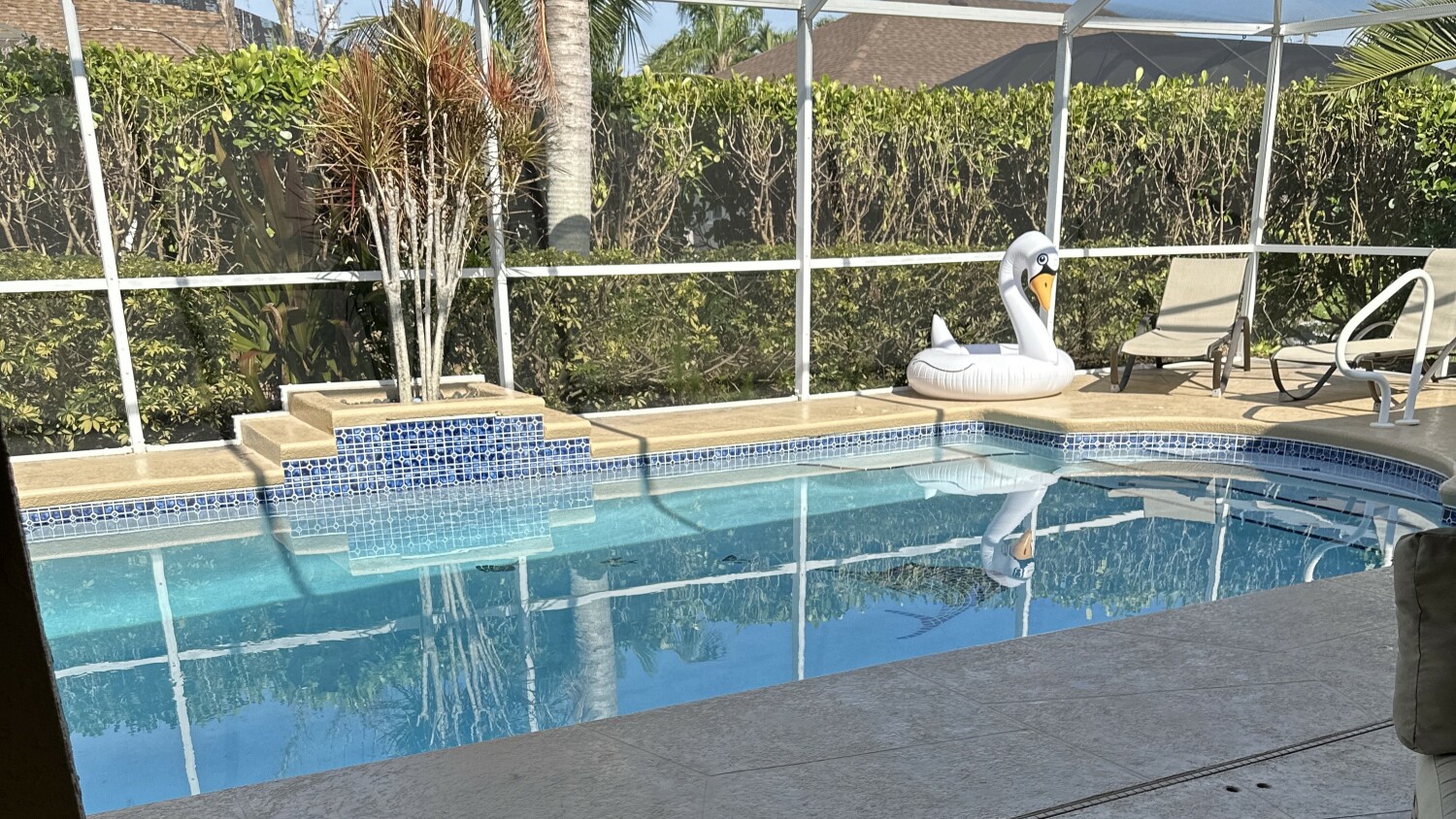 4 20230529_210807062_iOS.jpg