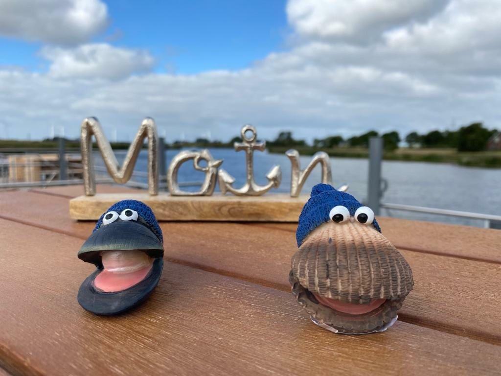 1 Friesen Muschel - Optima.jpg