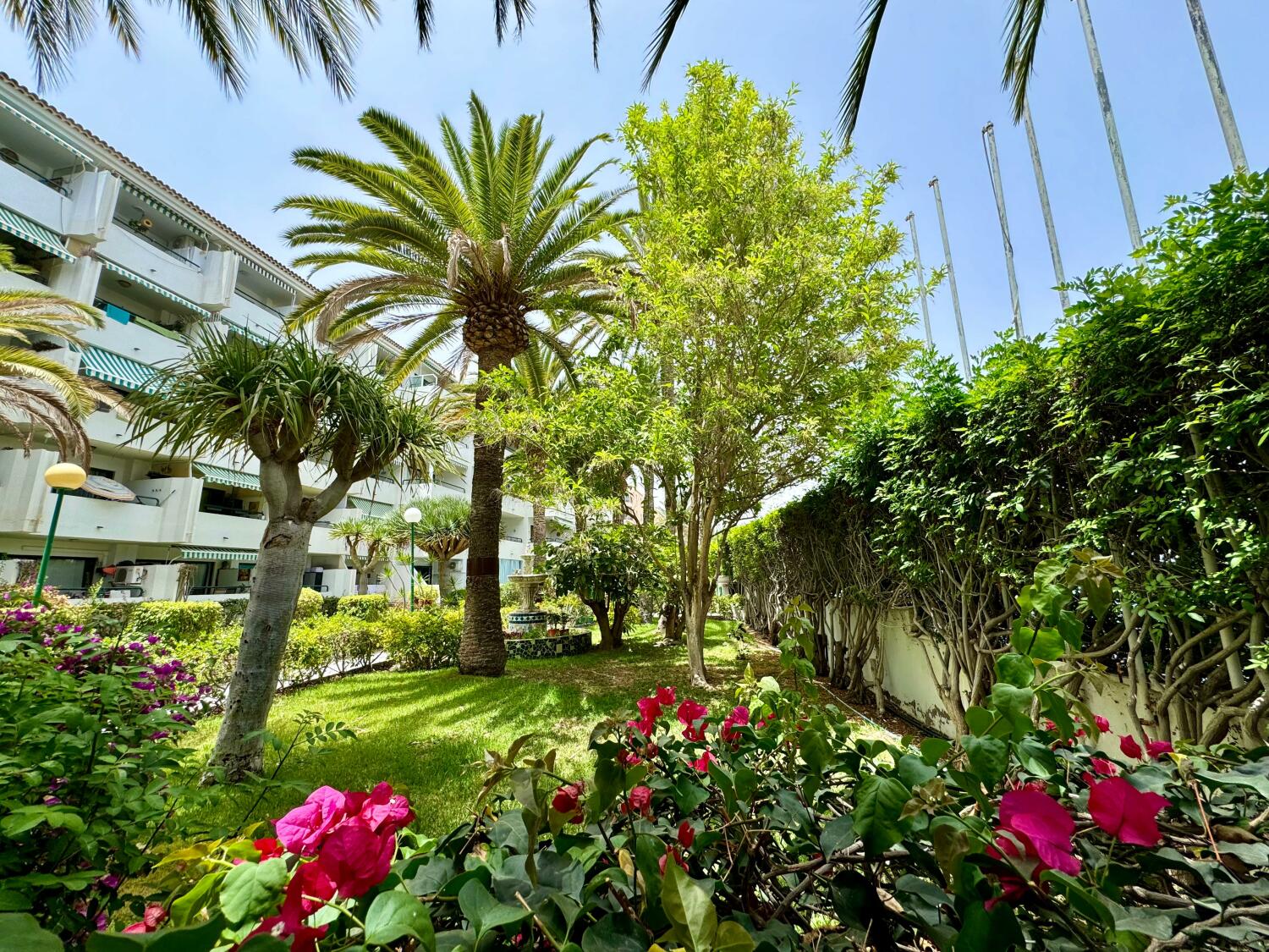 WhatsApp Image 2025-07-17 at 18.01.56.jpeg