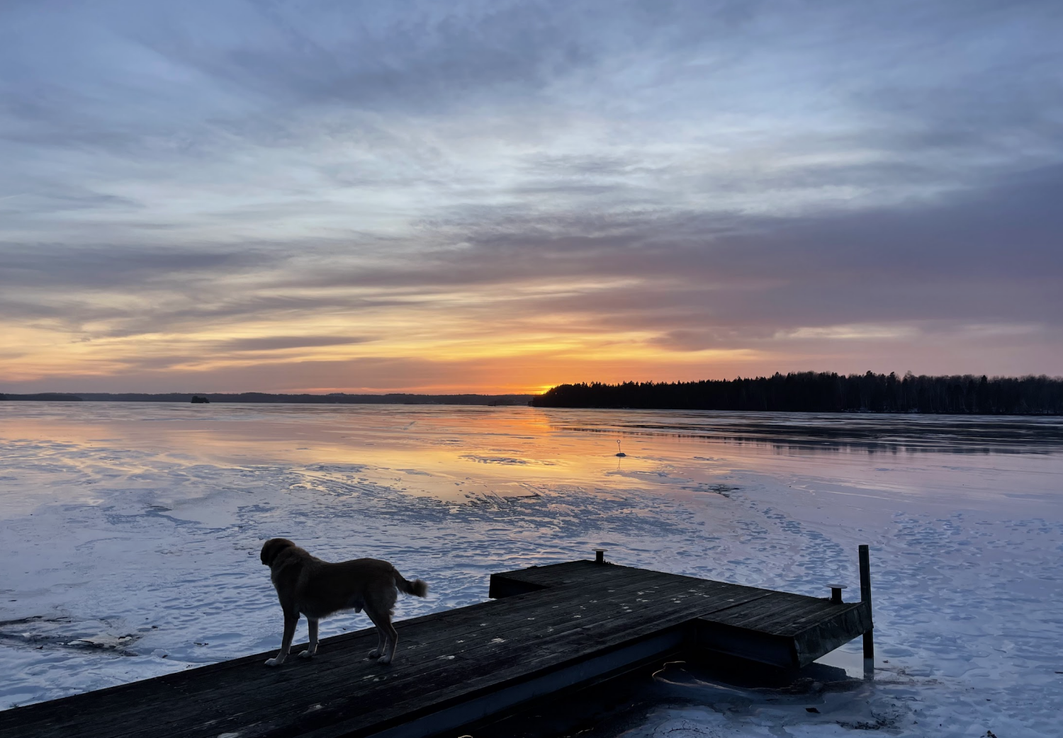 Animskog Kyrkskola Winter Sweden Jetty Ice Lake (1).png