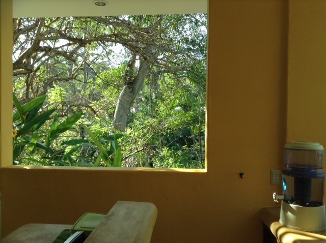 Vista ventana cocina.jpg