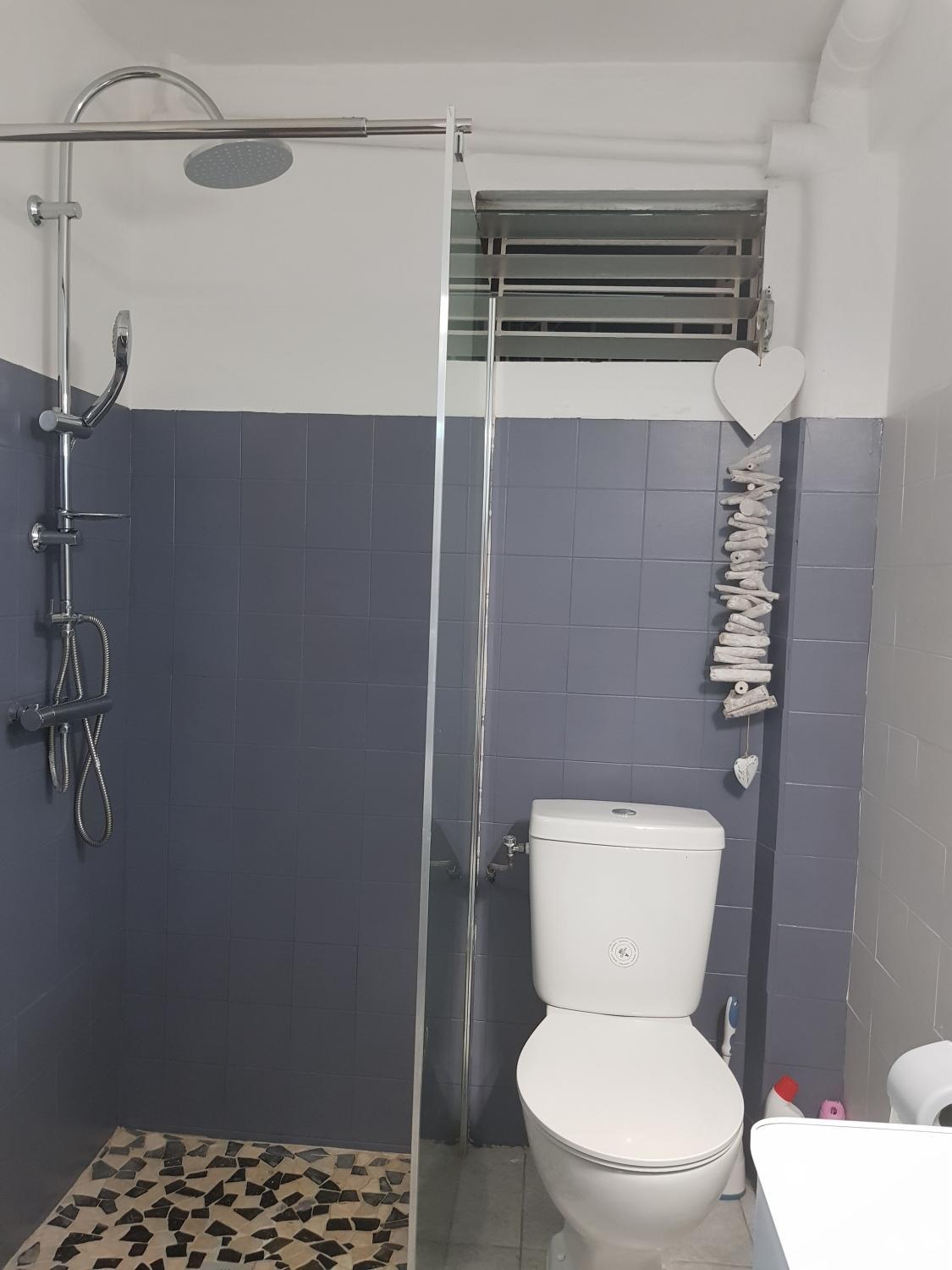 Rdc manguier (20).jpg