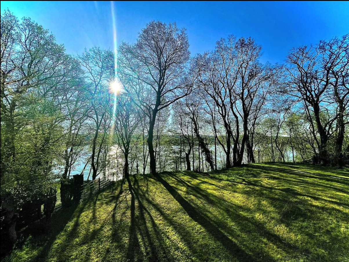 Bildschirmfoto 2025-07-09 um 22.20.31.png