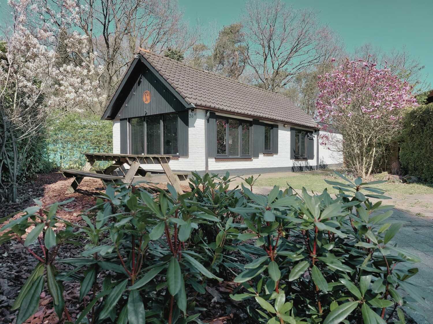 WhatsApp Image 2025-04-10 at 20.43.30.jpeg