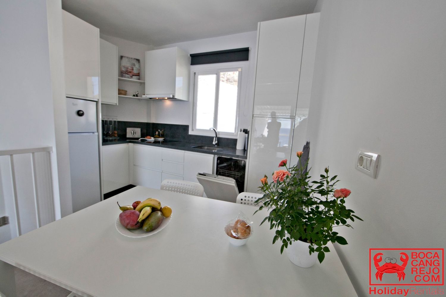 Bocacangrejo Rentals nº11 (45).jpg