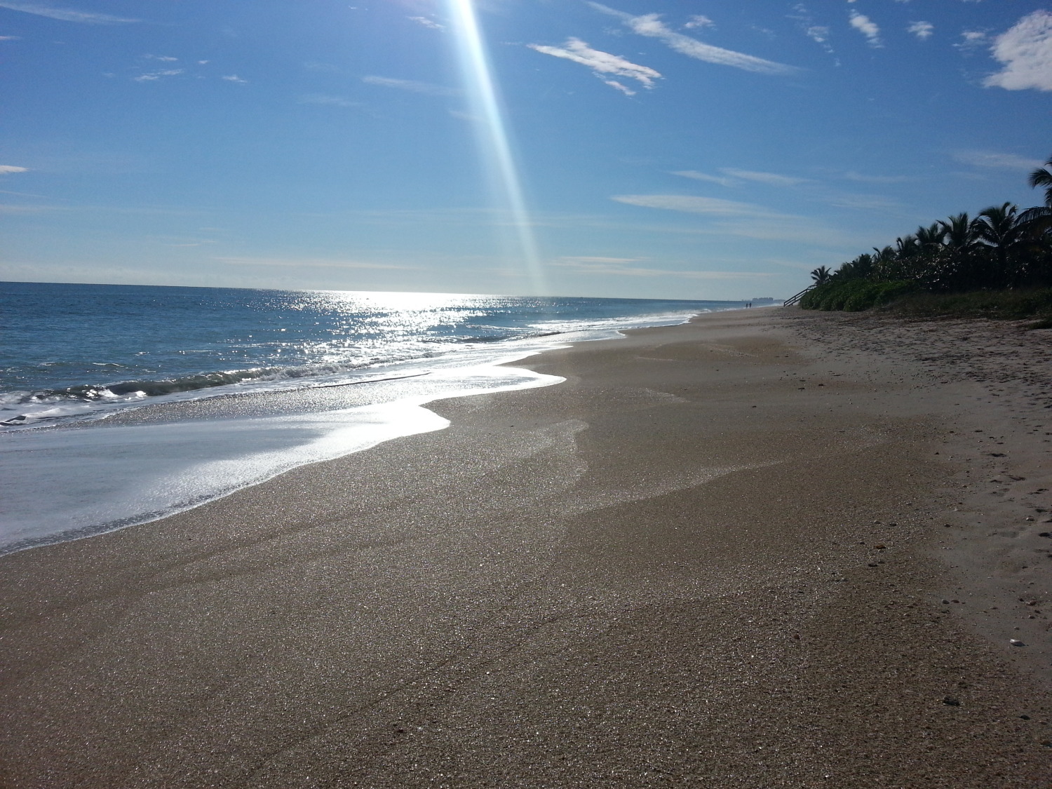 Afternoon walk on the beach.jpg