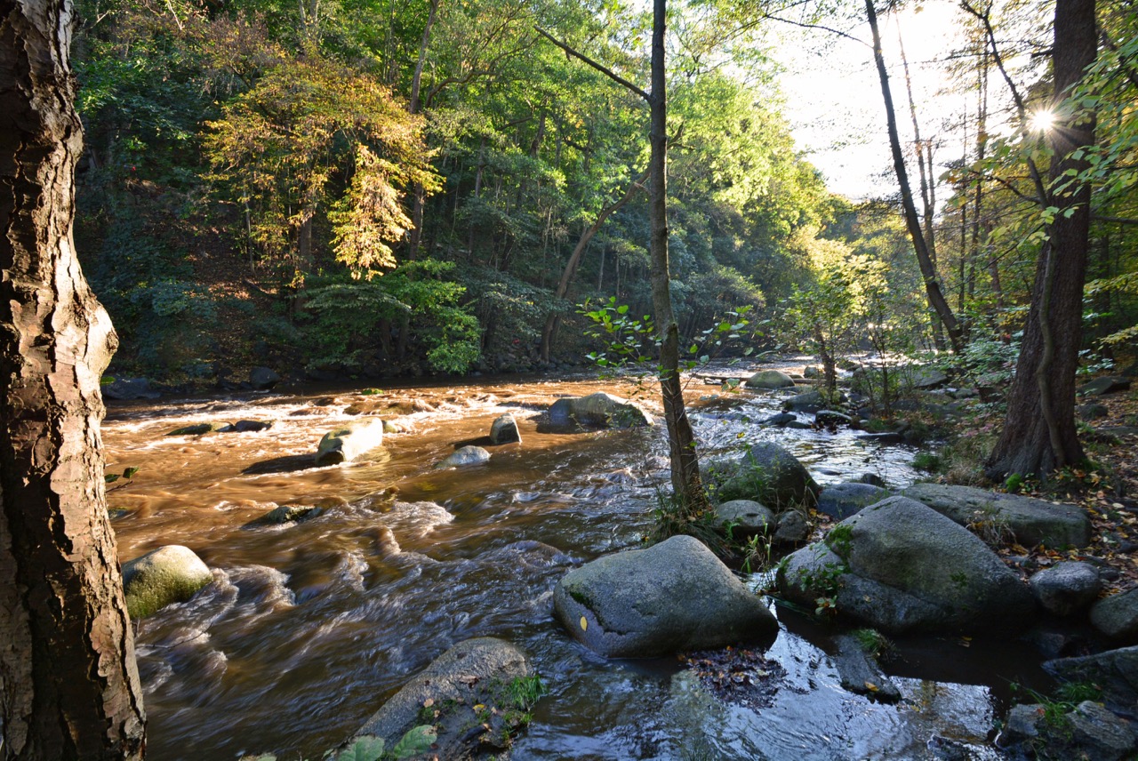 Bodetaleingang 3.jpg