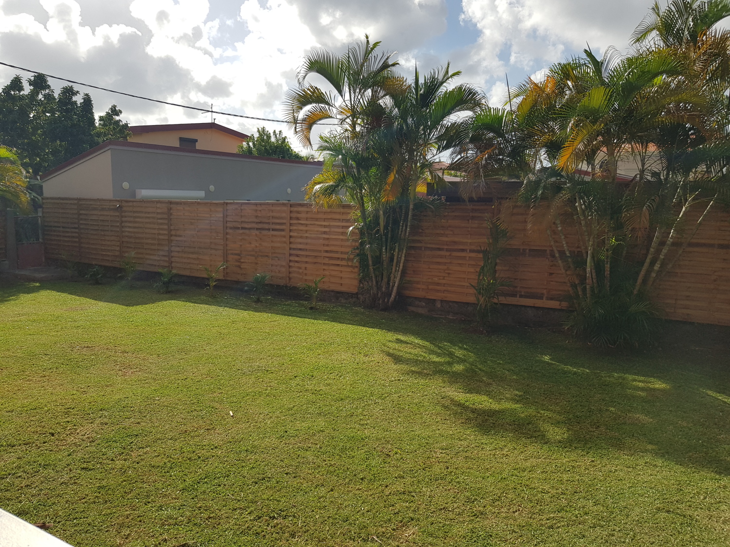 RDC Goyavier (26).jpg