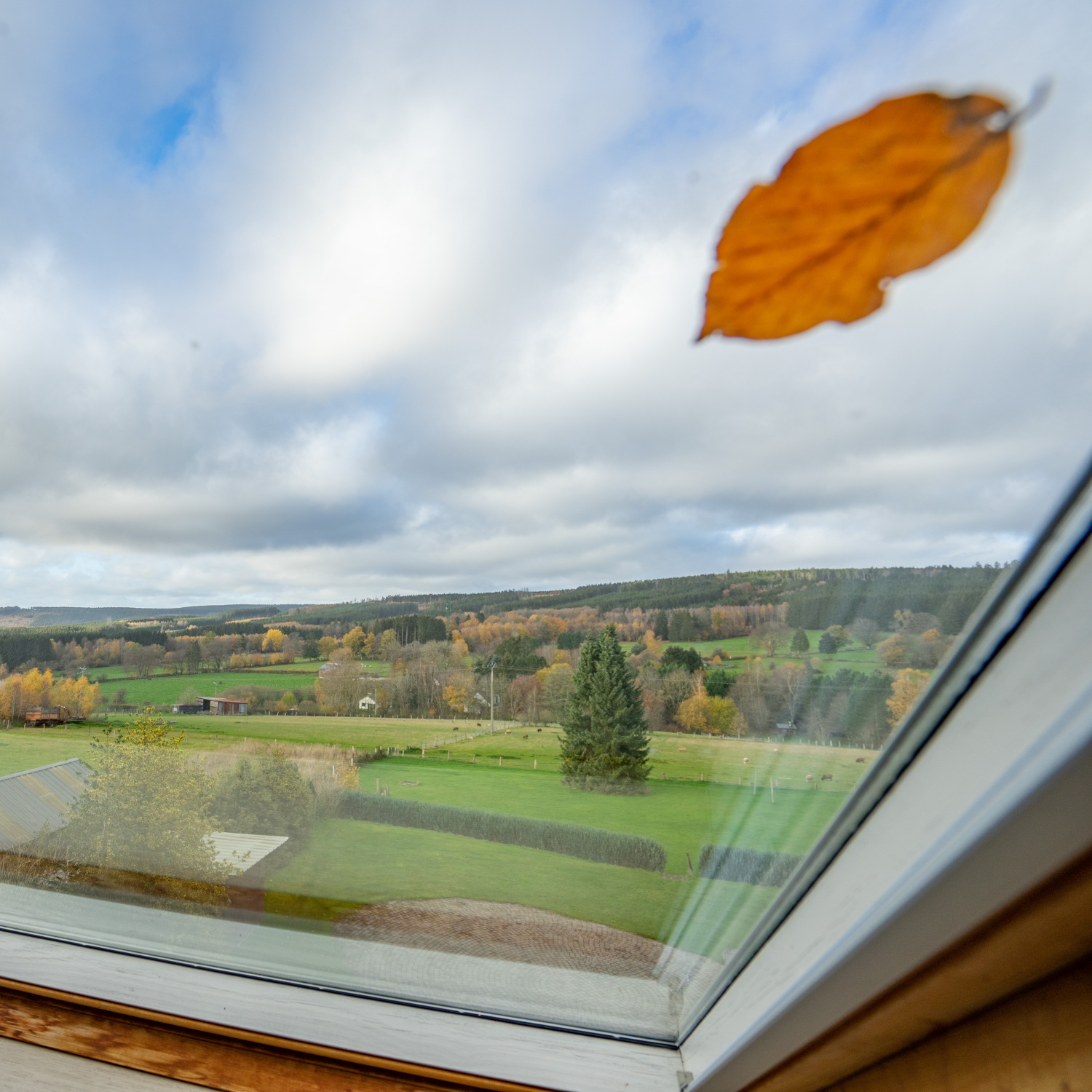 Béris 30p Web-00429.jpg