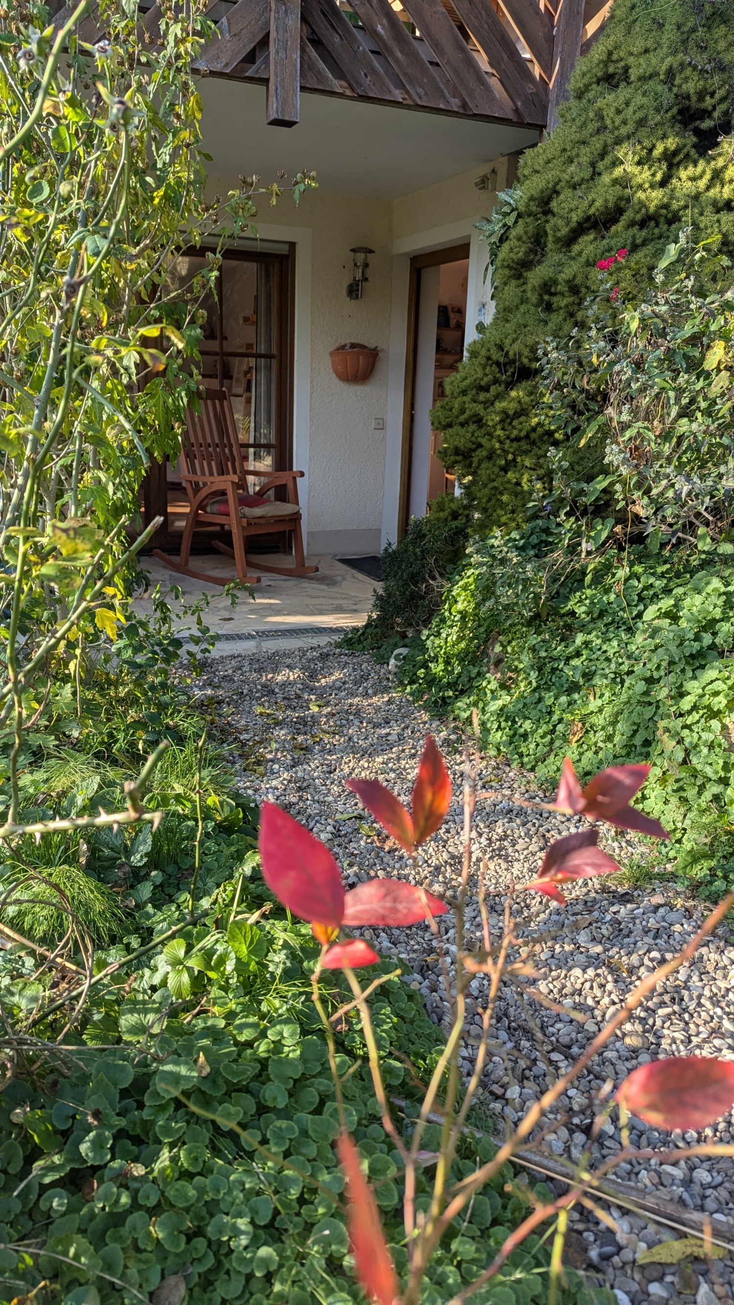 PXL_20241103_133837694.MP 1.jpg