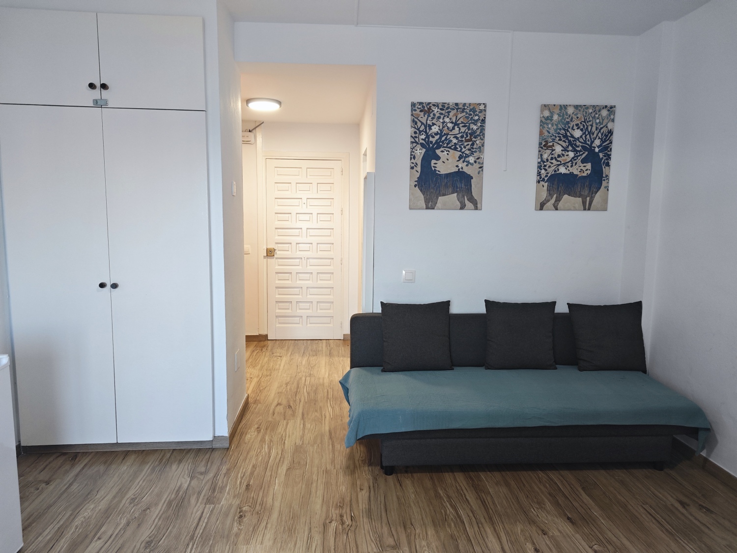 317-2 Sofa Cama .jpg