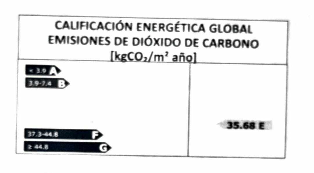 WhatsApp Image 2023-11-21 at 16.04.03.jpeg