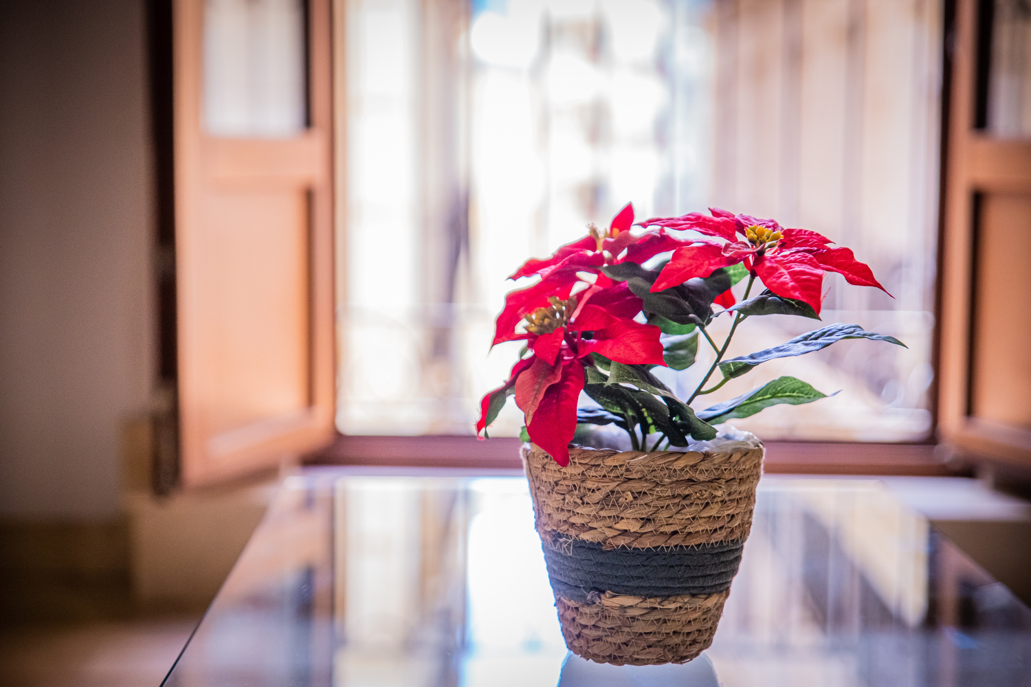 MEDIERAS 1_2B_24.jpg