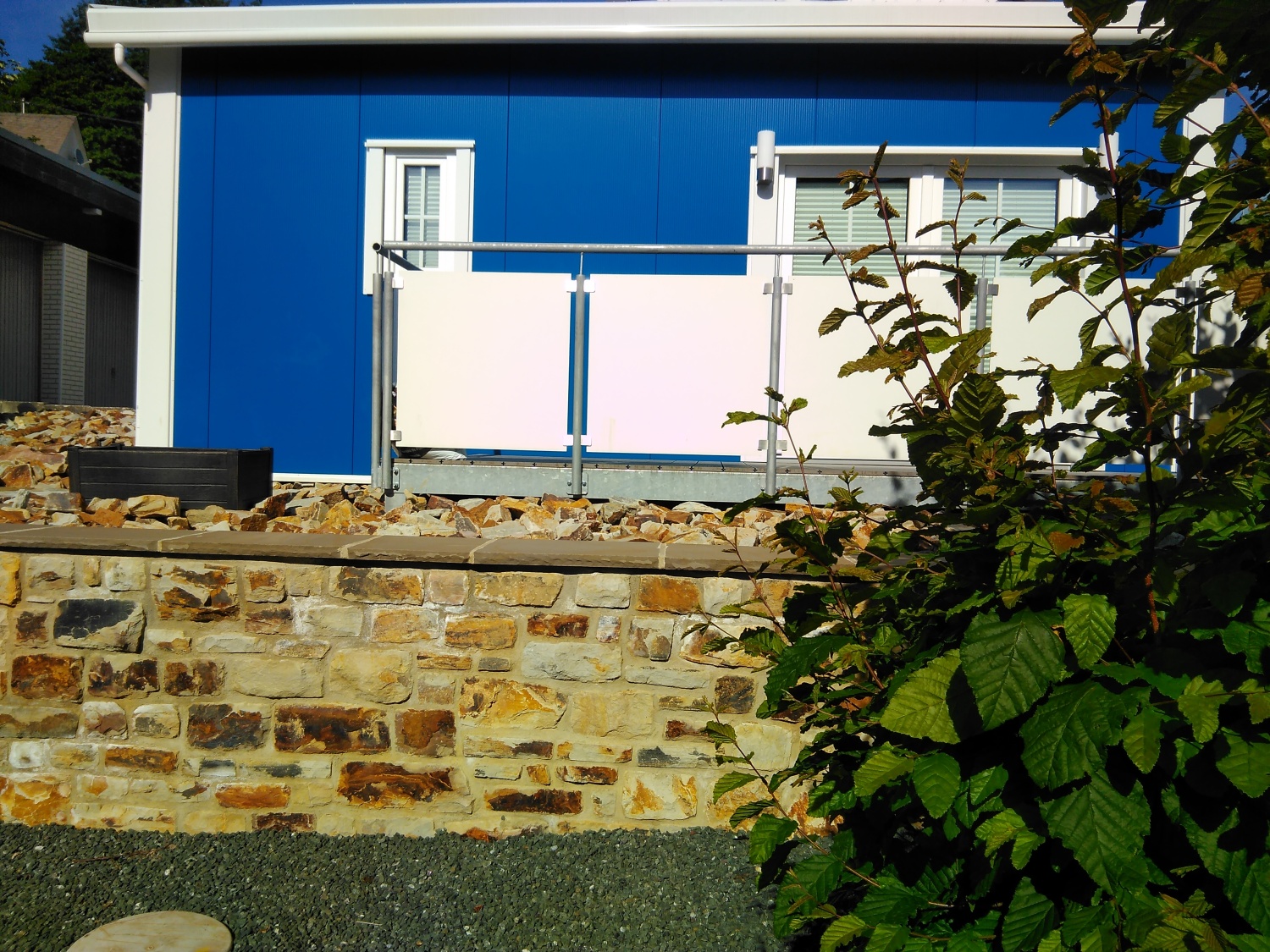 Grün 2 Sommer 2022 (5).jpg