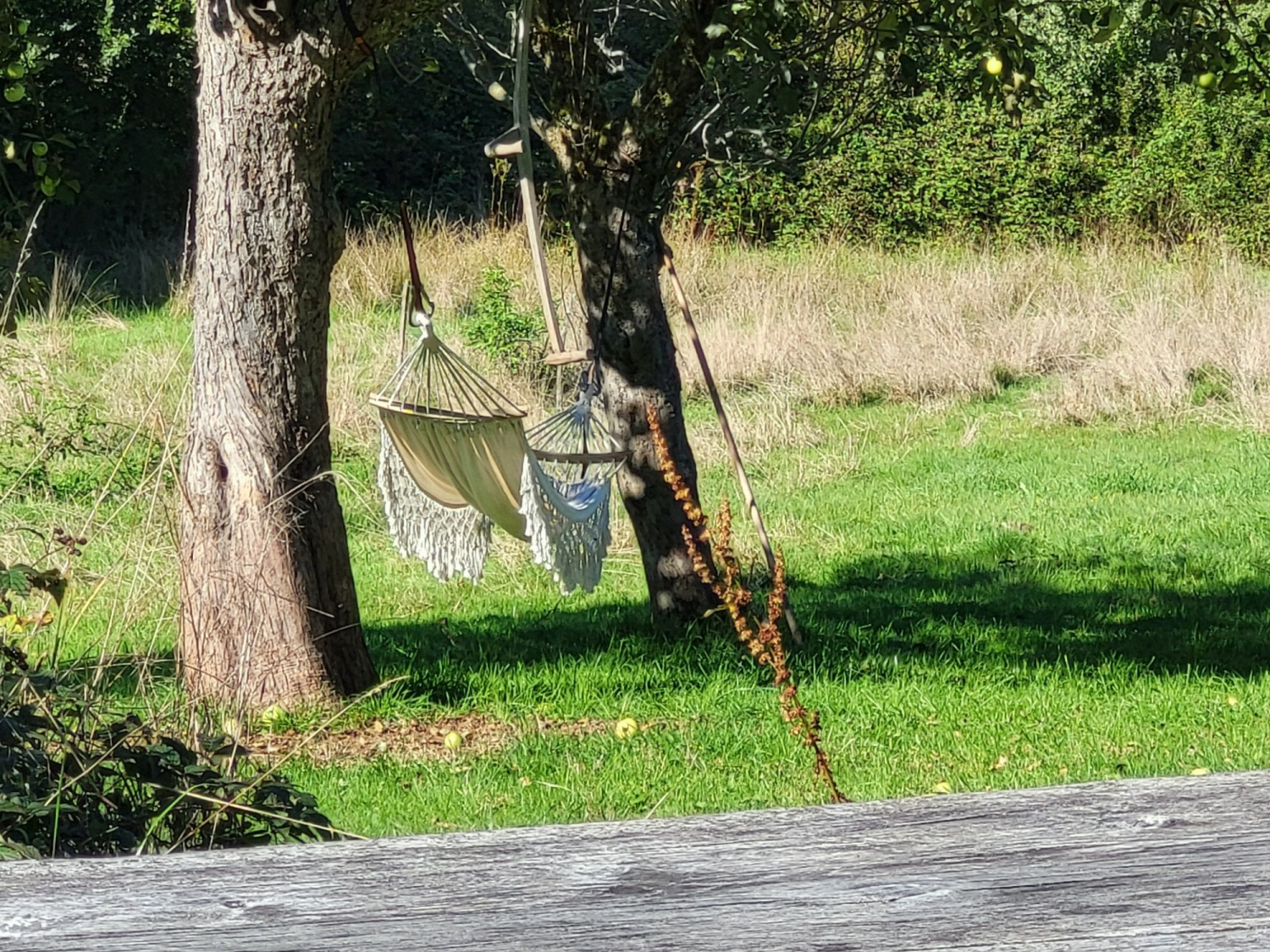 hängematte 2.png