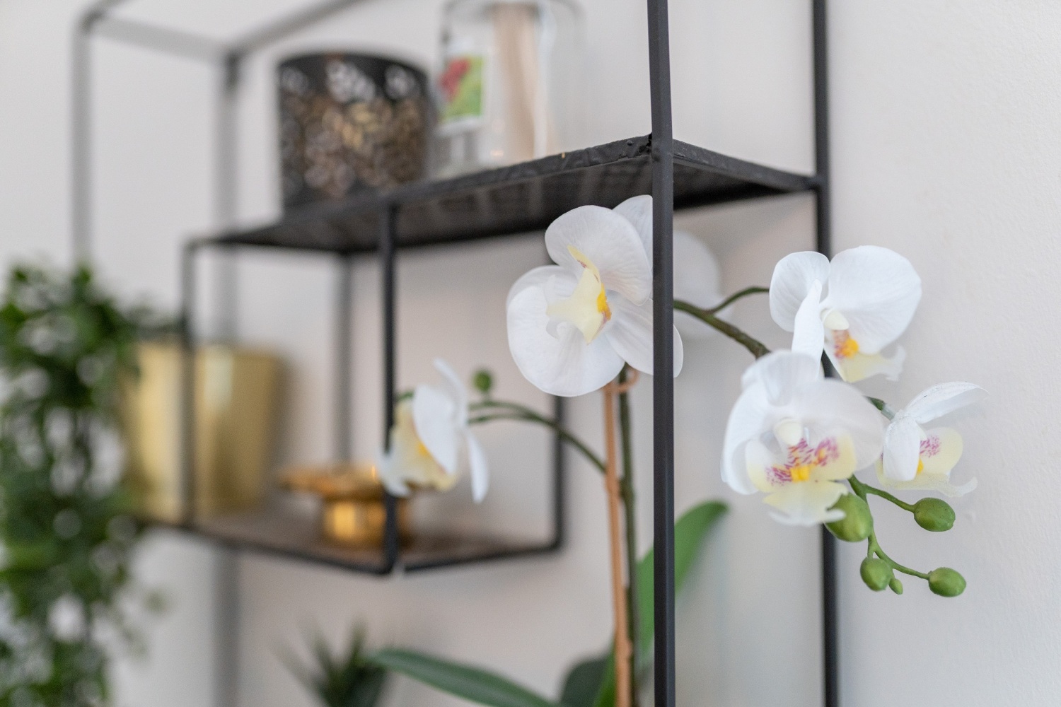 134 Clare Rd Cardiff CF11 6RW 116.jpg