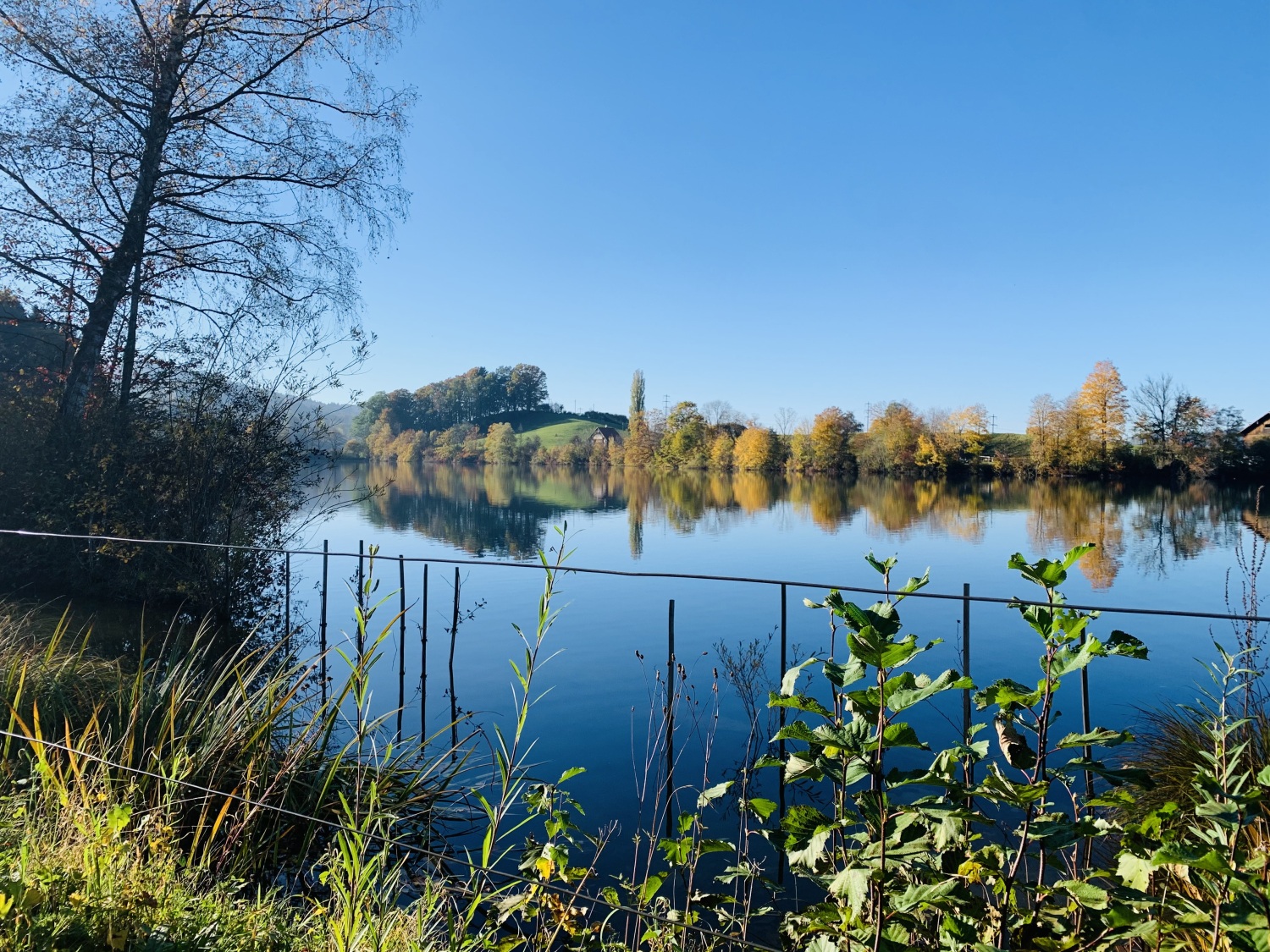 Foto 24.10.21, 16 02 48.jpg