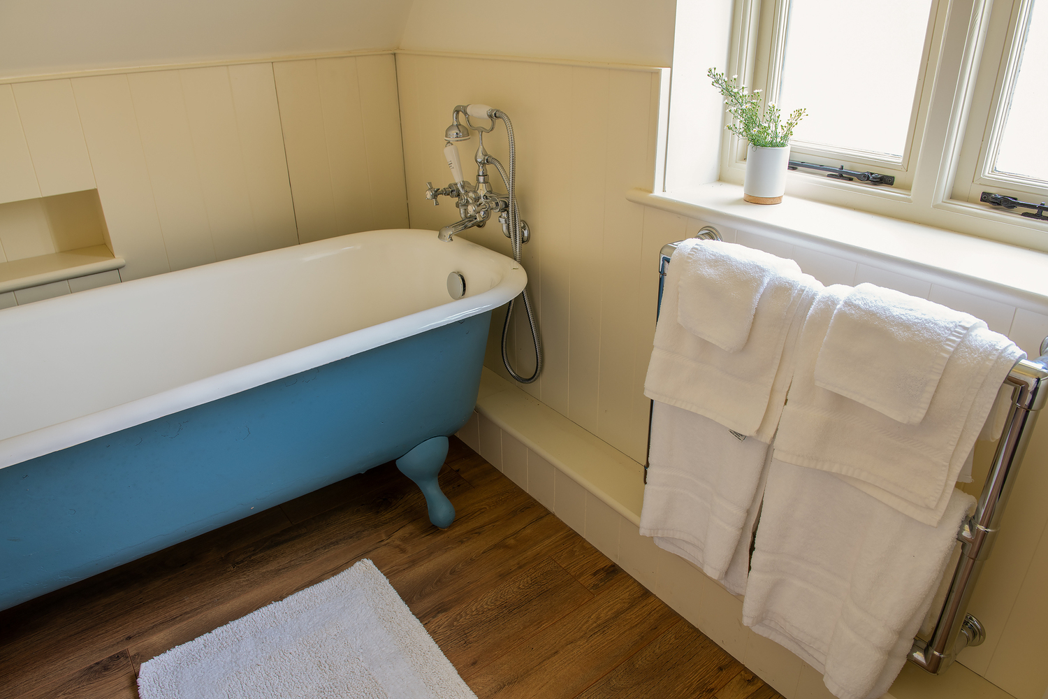 DSC_0100 - Copy - Copy.jpg